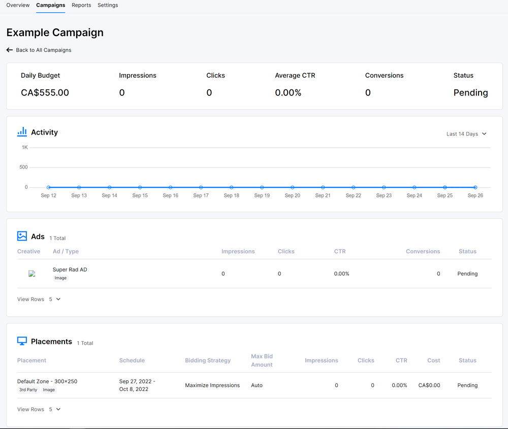 A detailed view of a specific campaign in the Self-Serve advertiser portal