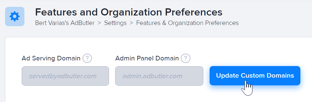 The Update Custom Domains fields in AdButler settings